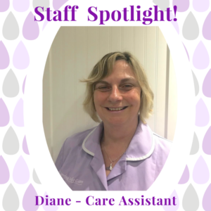 Diane VDC Staff Profile 300x300 1