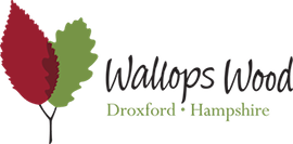 Support For Guests At Wallops Wood Accessible Holiday Cottages! 1 WallopsWoodAccessibleHomes