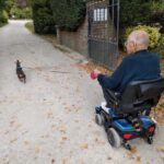 Companionship for the Elderly